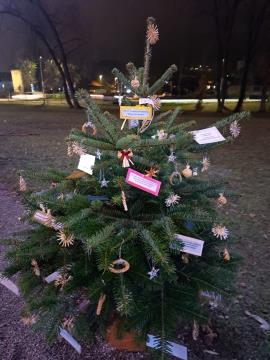 PRAZNIČNA OBČINA ŠKOFLJICA: lokalne skupnosti so okrasile smrečice v drevoredu pri zunanjem igrišču OŠ Škofljica